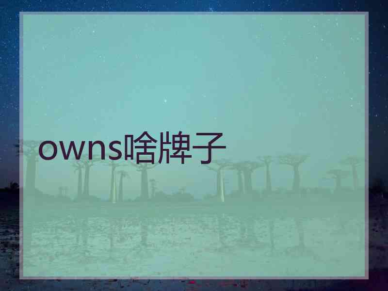 owns啥牌子