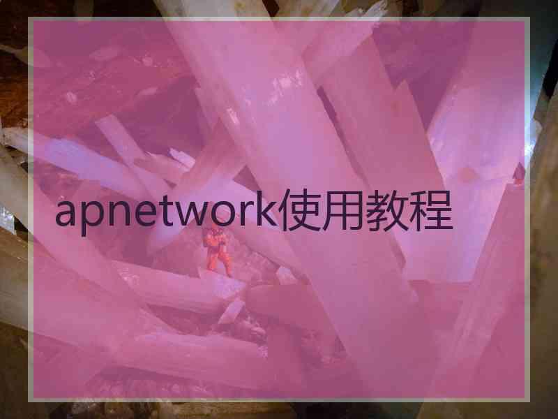 apnetwork使用教程