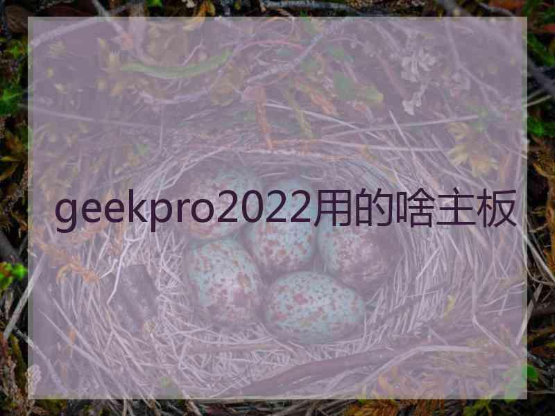 geekpro2022用的啥主板