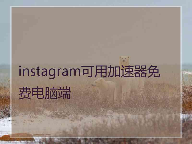 instagram可用加速器免费电脑端