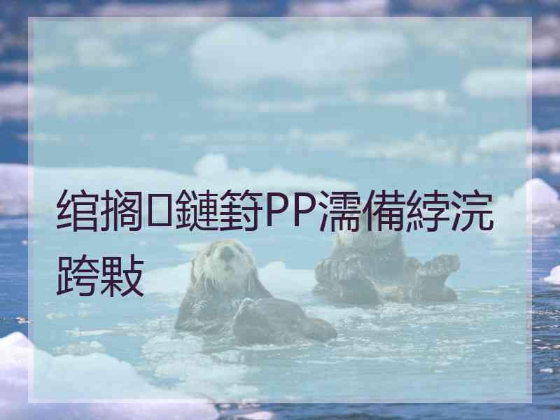 绾搁鏈篈PP濡備綍浣跨敤