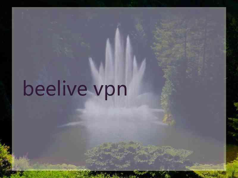 beelive vpn