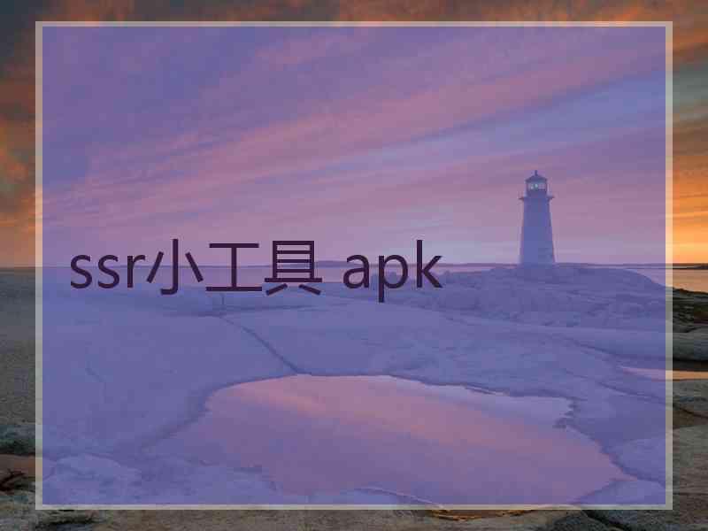 ssr小工具 apk