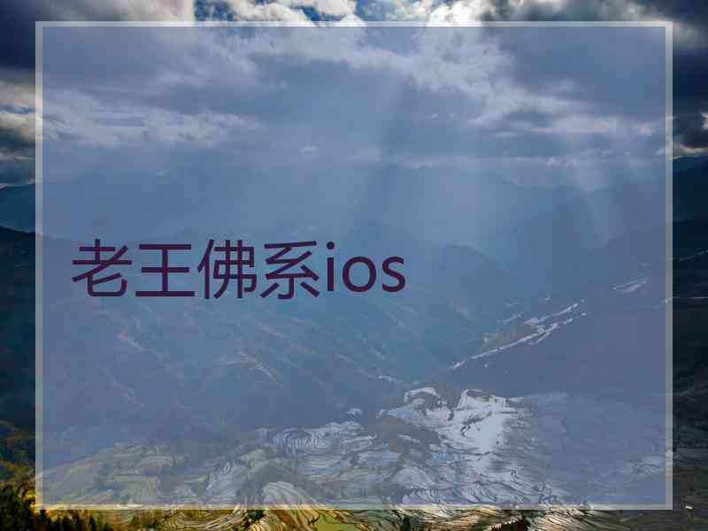 老王佛系ios