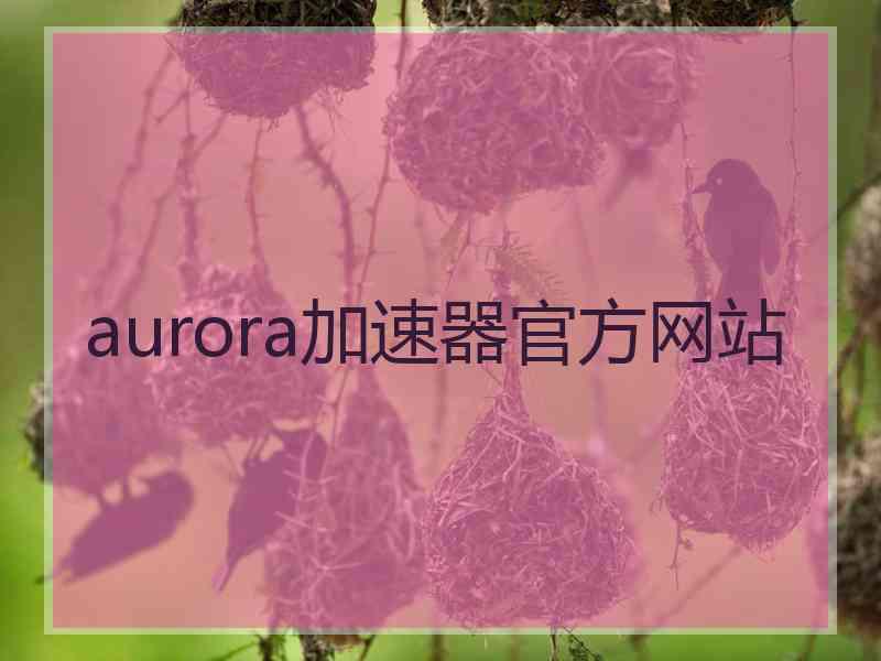 aurora加速器官方网站