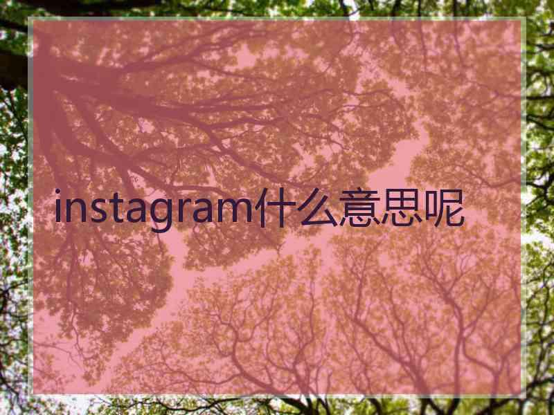 instagram什么意思呢