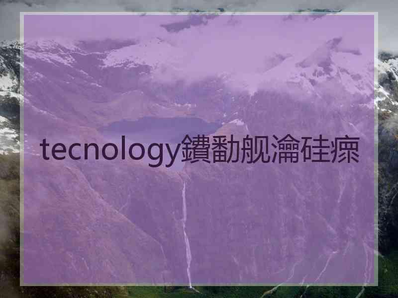 tecnology鐨勫舰瀹硅瘝