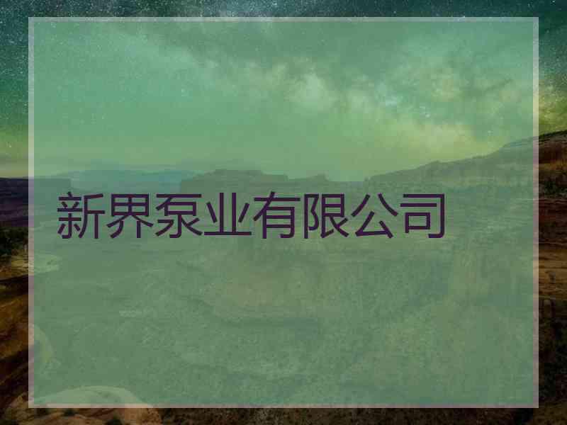 新界泵业有限公司