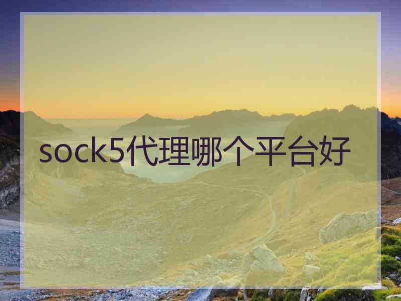 sock5代理哪个平台好