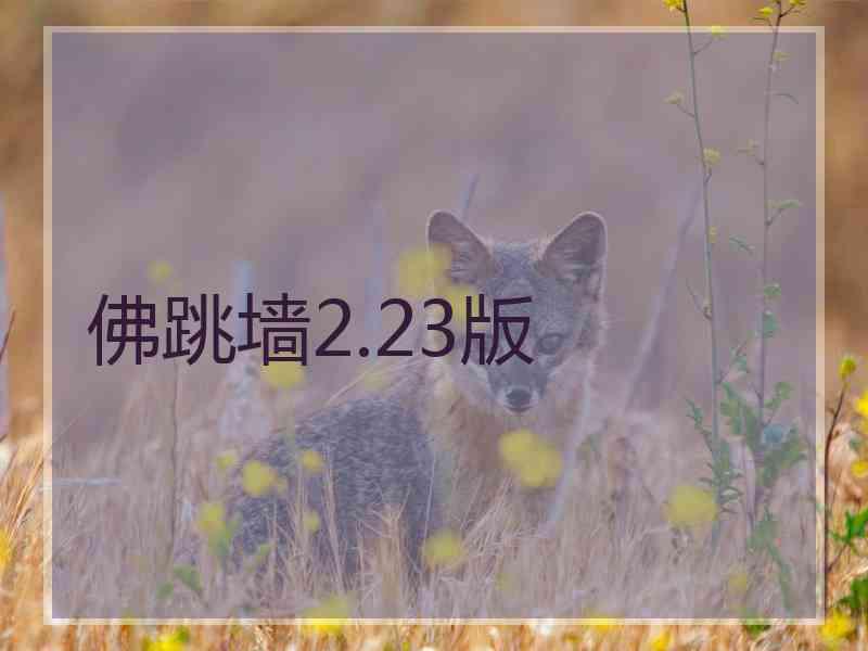 佛跳墙2.23版