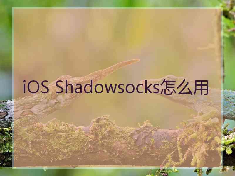 iOS Shadowsocks怎么用