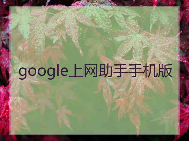 google上网助手手机版