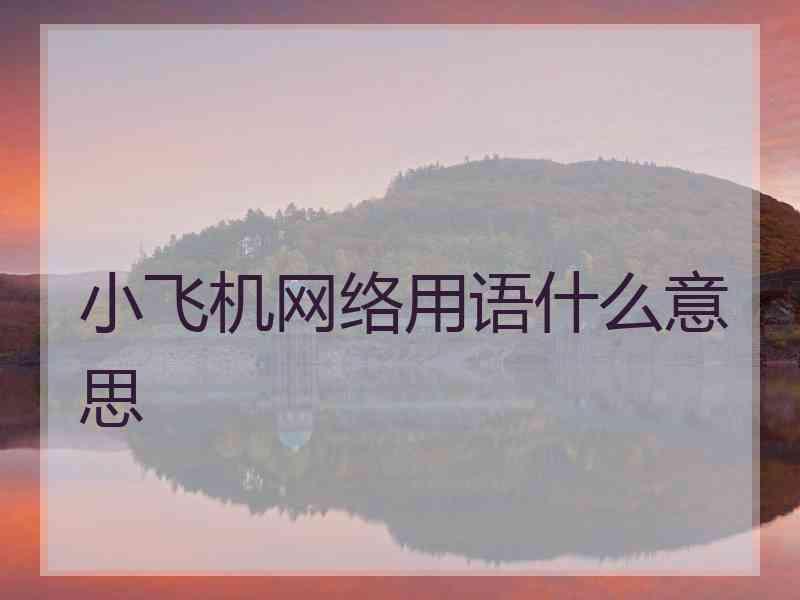 小飞机网络用语什么意思