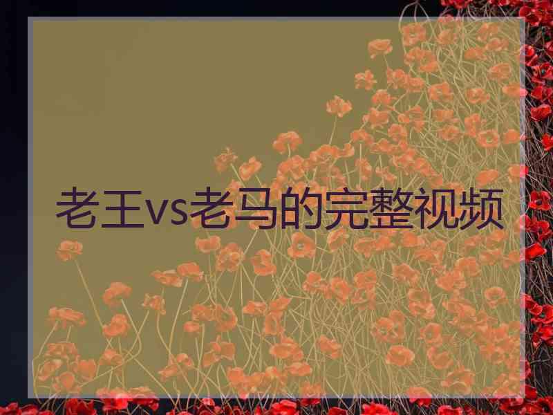 老王vs老马的完整视频