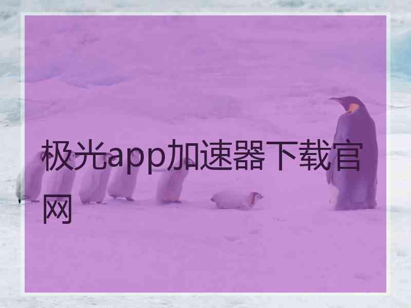 极光app加速器下载官网