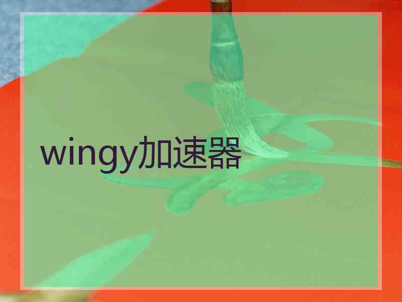 wingy加速器