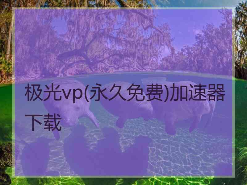 极光vp(永久免费)加速器下载