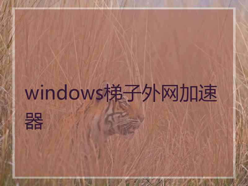 windows梯子外网加速器