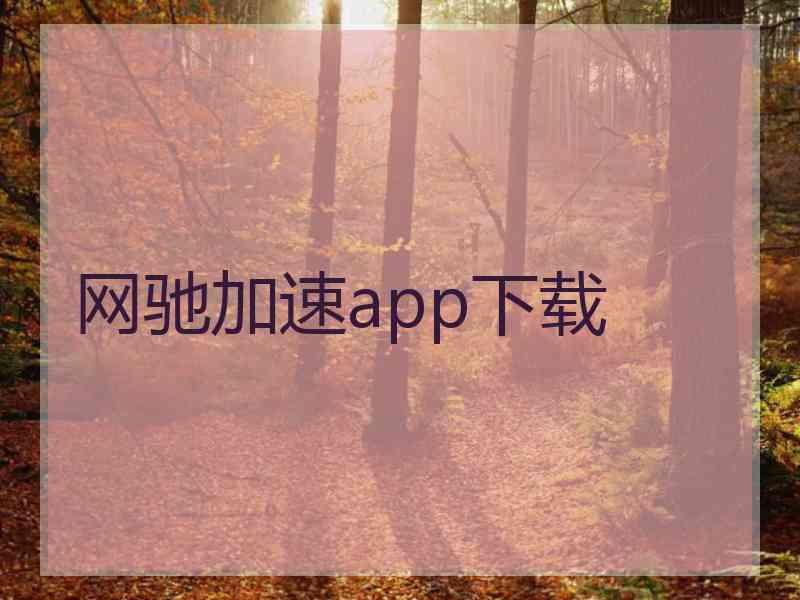 网驰加速app下载