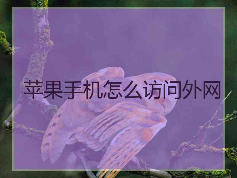 苹果手机怎么访问外网