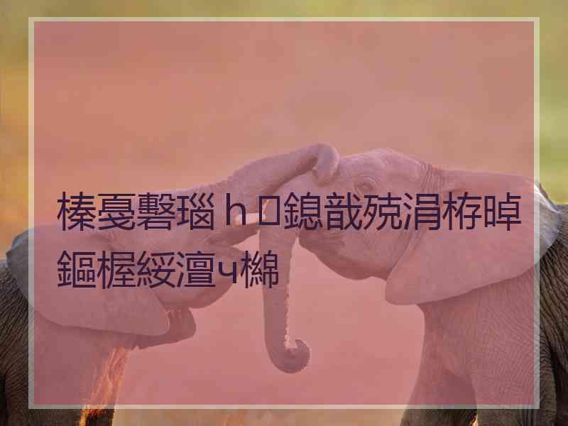 榛戞礊瑙ｈ鎴戠殑涓栫晫鏂楃綏澶ч檰