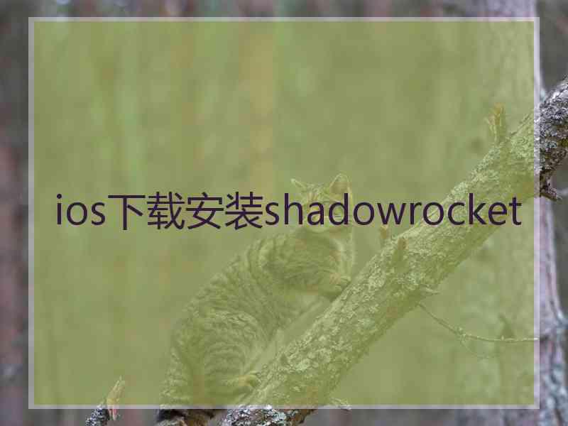 ios下载安装shadowrocket