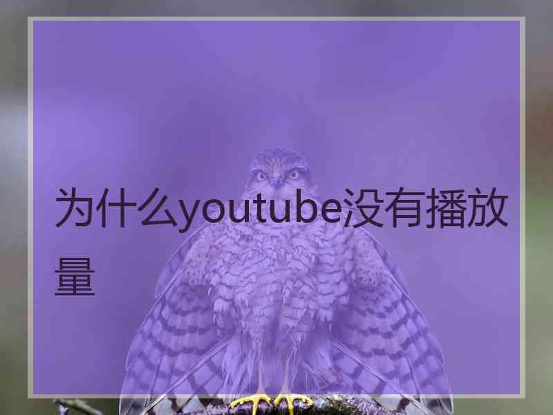 为什么youtube没有播放量