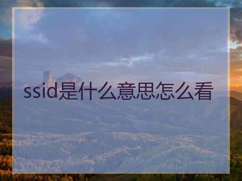 ssid是什么意思怎么看