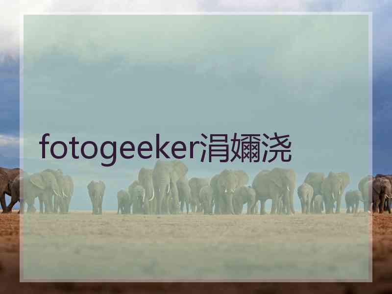 fotogeeker涓嬭浇