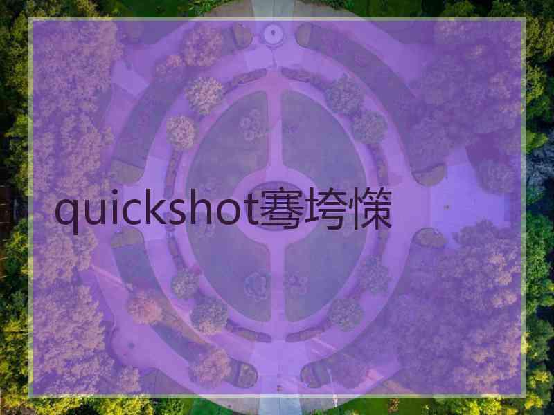 quickshot骞垮憡