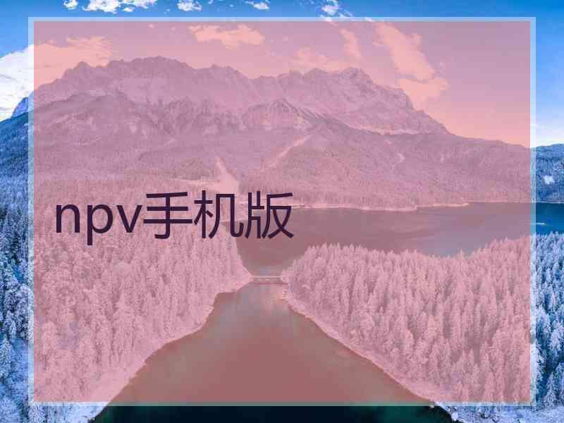 npv手机版