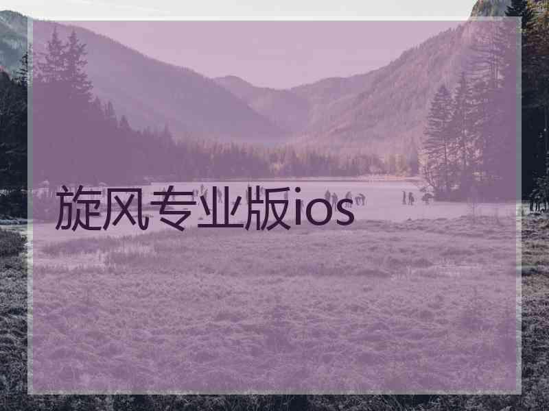 旋风专业版ios