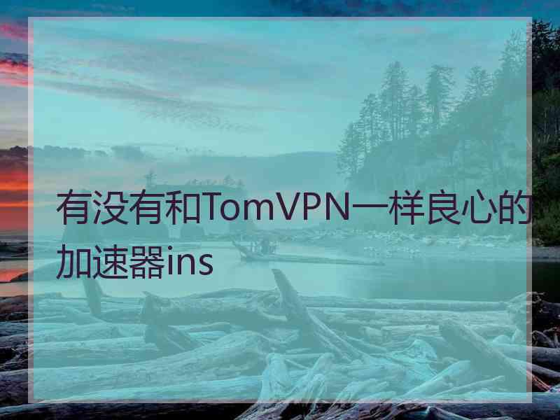 有没有和TomVPN一样良心的加速器ins