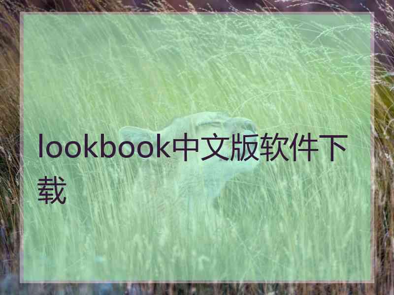 lookbook中文版软件下载