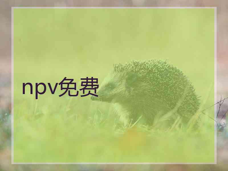 npv免费