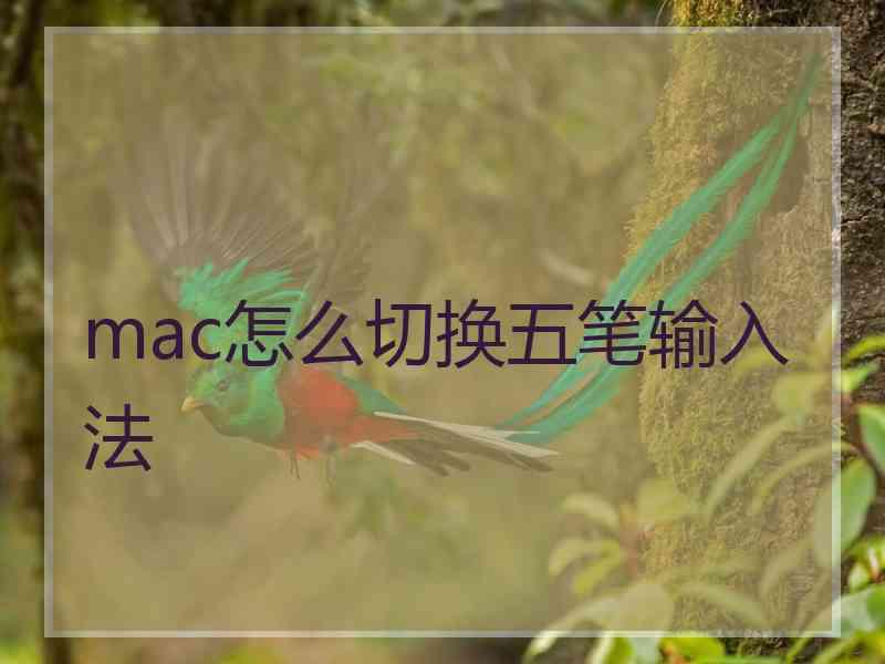 mac怎么切换五笔输入法