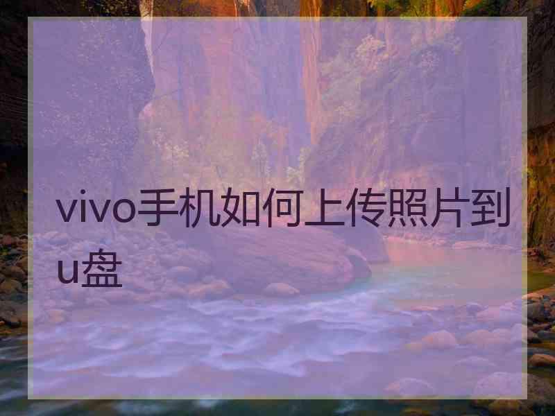 vivo手机如何上传照片到u盘