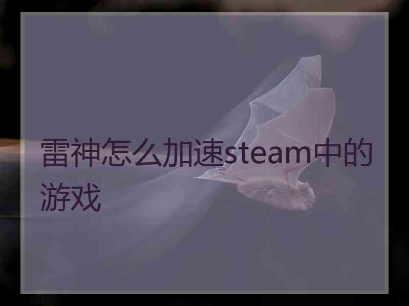 雷神怎么加速steam中的游戏