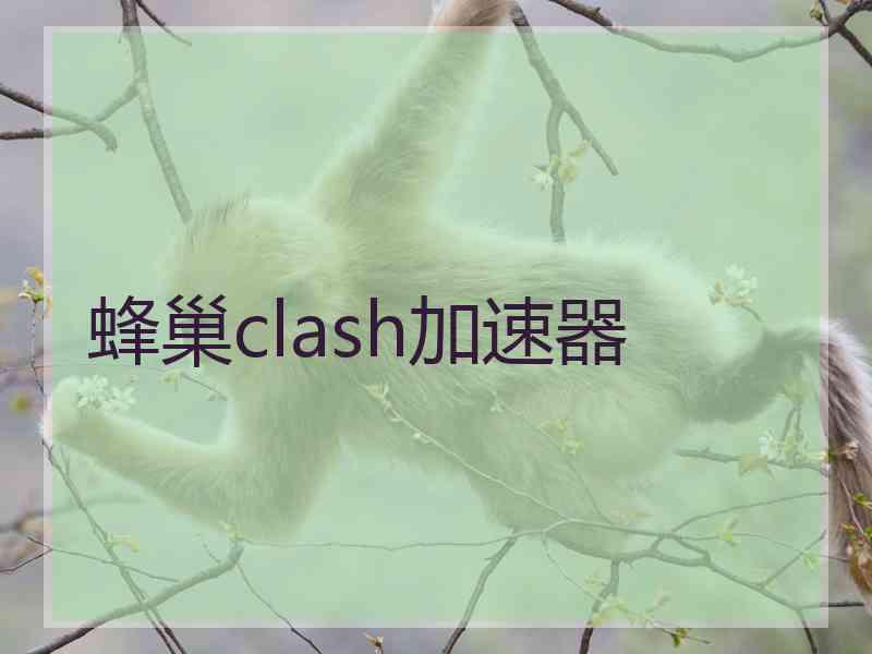 蜂巢clash加速器