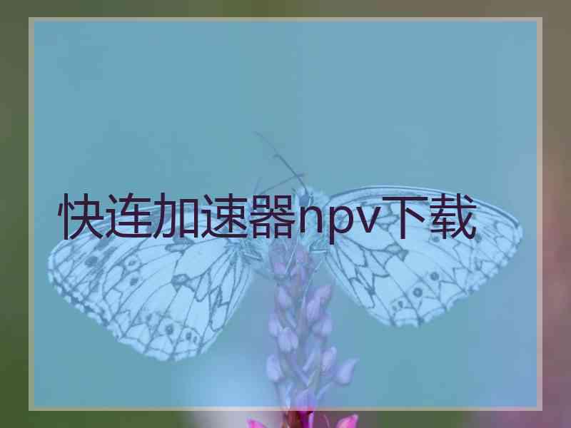 快连加速器npv下载