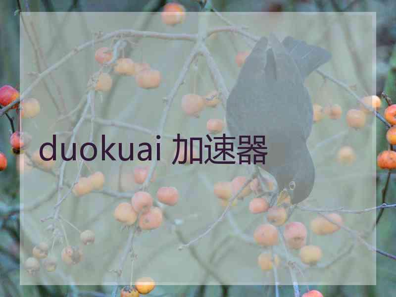 duokuai 加速器