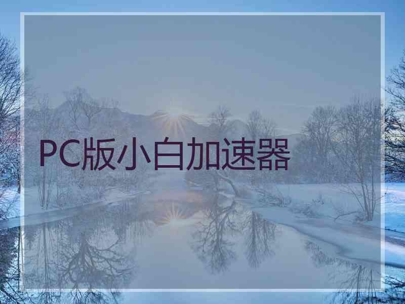 PC版小白加速器