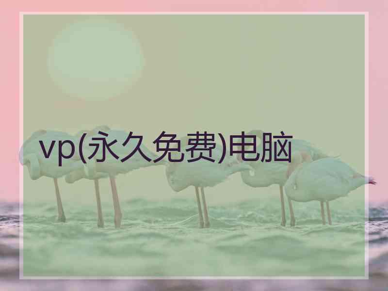 vp(永久免费)电脑