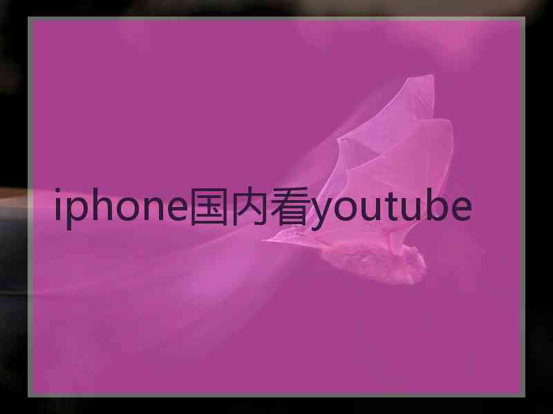 iphone国内看youtube