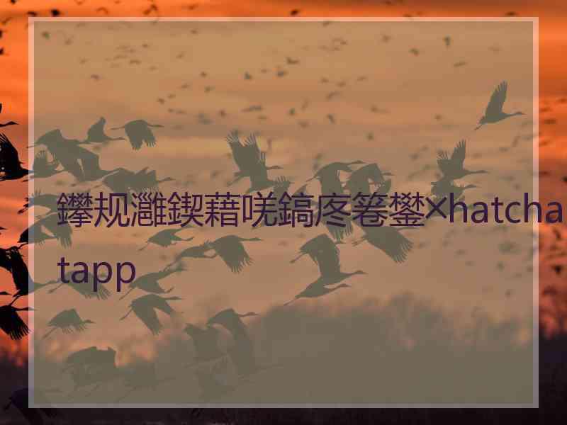 鑻规灉鍥藉唴鎬庝箞鐢╳hatchatapp