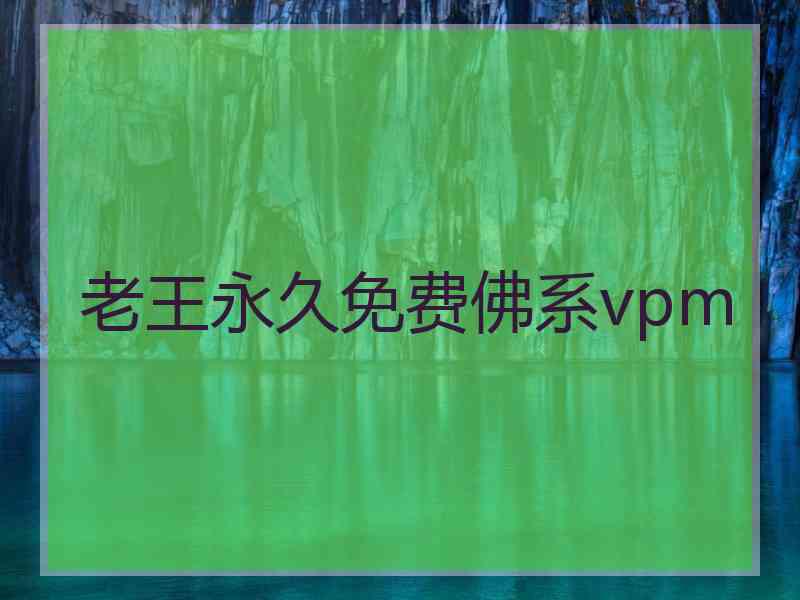 老王永久免费佛系vpm