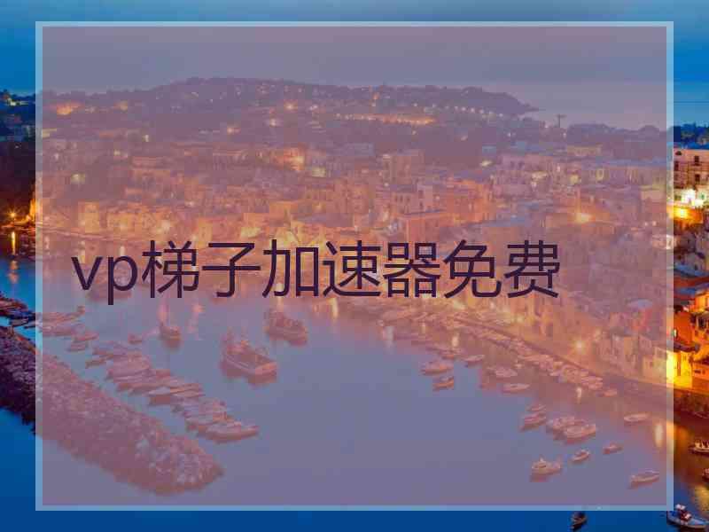 vp梯子加速器免费