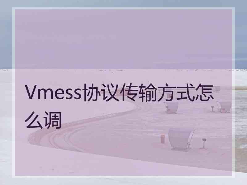 Vmess协议传输方式怎么调