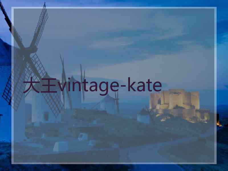 大王vintage-kate