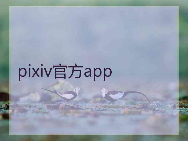 pixiv官方app